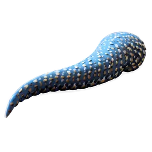 Tail B PNG Image