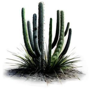 Tall Cactus Plant Png Xac32 PNG Image