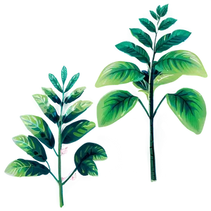 Tall Leafy Plant Png Qve PNG Image