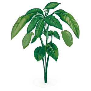 Tall Leafy Plant Png Qwq PNG Image