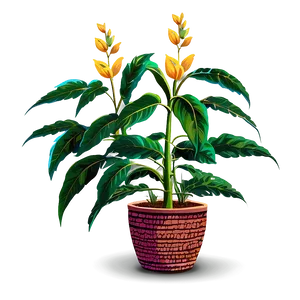 Tall Plant Clipart Png 79 PNG Image