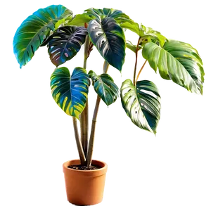 Tall Plant In Pot Png 11 PNG Image