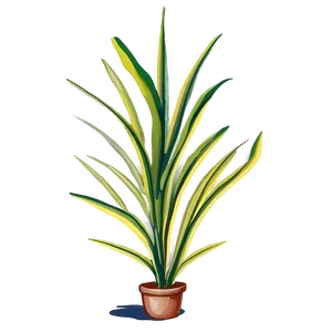 Tall Plant Outline Png Oqr PNG Image