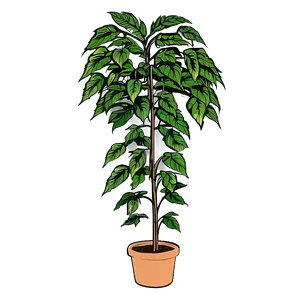 Tall Plant Sketch Png 70 PNG Image