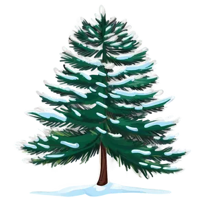 Tall Spruce Tree Illustration Png 06132024 PNG Image