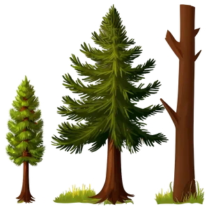 Tall Spruce Tree Illustration Png Xno51 PNG Image