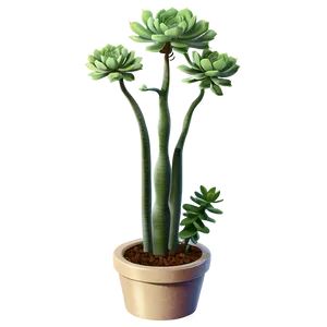 Tall Succulent Plant Png 06282024 PNG Image