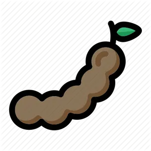 Tamarind Pod Vector Illustration PNG Image