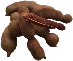 Tamarind Pods Cluster PNG Image