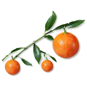 Tangerine A PNG Image