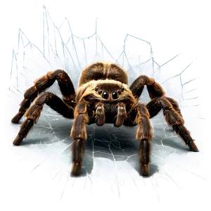 Tarantula Web Background Png Ica PNG Image