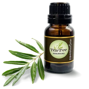 Tea Tree Essential Oil Png Fkq35 PNG Image