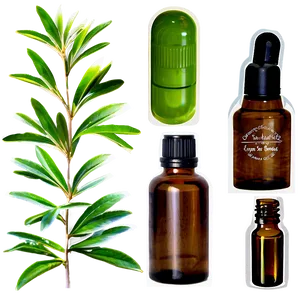 Tea Tree Essential Oil Png Qol90 PNG Image