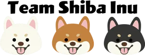 Team Shiba Inu Trio PNG Image