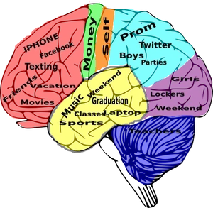 Teenage Brain Concepts Illustration PNG Image