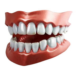 Teeth And Gums PNG Ibm PNG