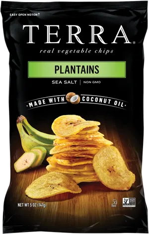 Terra Plantain Chips Sea Salt PNG Image