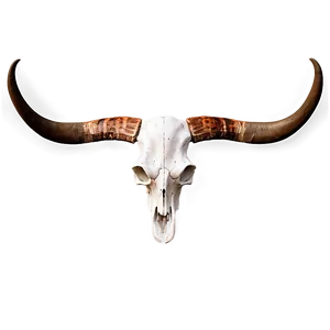 Textured Longhorn Skull Model Png Llp65 PNG Image