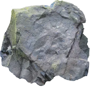 Textured Rock Surface PNG Image