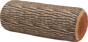 Textured Tree Log Isolated Background PNG Image