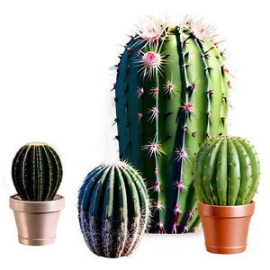 Thornless Cactus Variety Png 06282024 PNG Image