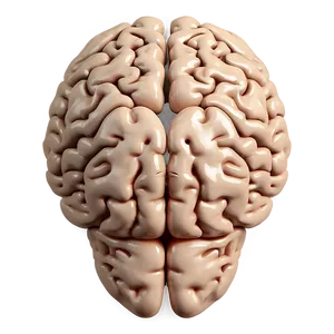 Thoughtful Brain Emoji Png 06132024 PNG Image