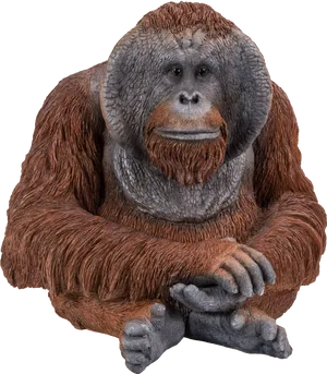 Thoughtful Orangutan Portrait PNG Image