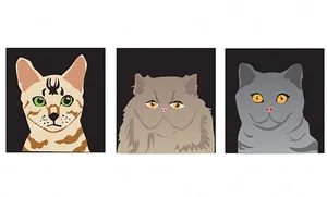 Three Cats Ago Funny Quote PNG Image