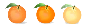 Three Oranges Color Gradient PNG Image