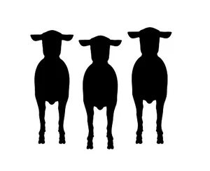 Three Sheep Silhouette PNG Image