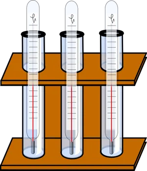 Three Thermometerson Rack PNG Image