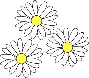 Three White Daisies Illustration.png PNG Image