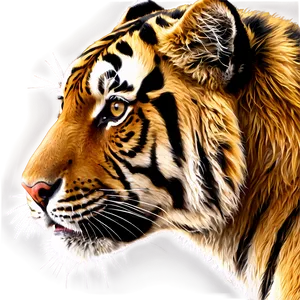 Tiger Face In Detail Png 66 PNG Image