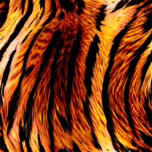 Tiger Fur Texture Png 50 PNG Image