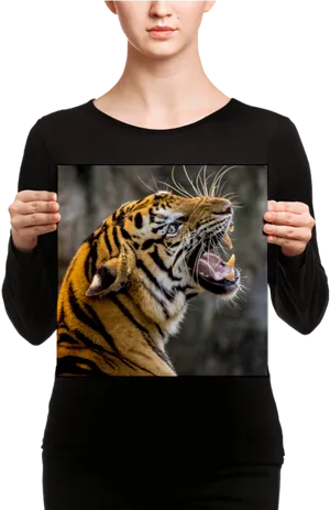 Tiger Portraiton Canvas PNG Image