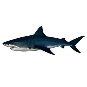 Tiger Shark Silhouette Png 1 PNG Image