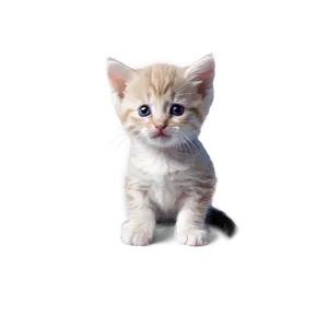 Tiny Cute Kitty Png Dwd PNG Image