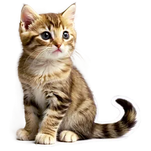 Tiny Cute Kitty Png Pul PNG Image