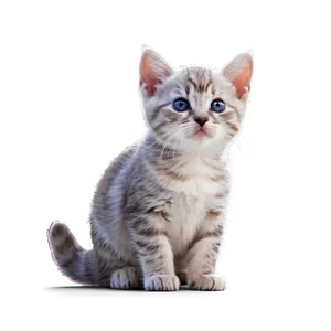 Tiny Cute Kitty Png Trg12 PNG Image