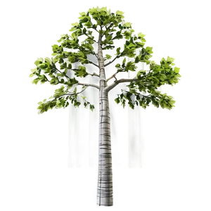 Titanic Poplar Tree Png 63 PNG Image