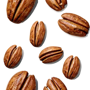 Toasted Pecan Png Agp77 PNG Image