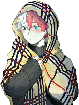 Todorokiin Plaid Hoodie PNG Image