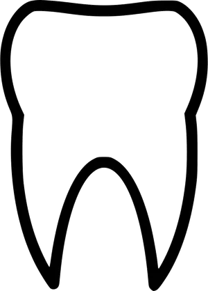 Tooth Outline Vector Illustration PNG Image