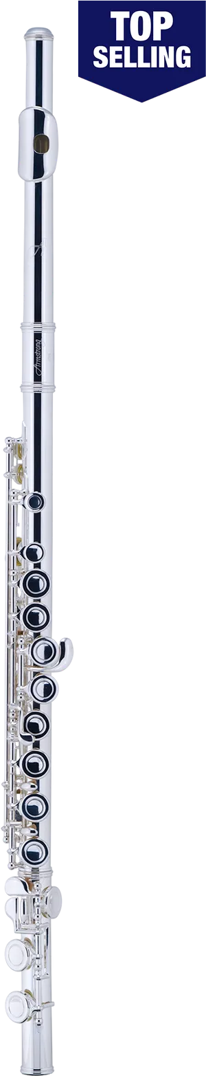 Top Selling Silver Flute Vertical View PNG Image