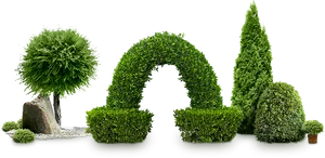 Topiary Garden Variety PNG Image