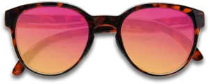 Tortoiseshell Round Sunglasses PNG Image