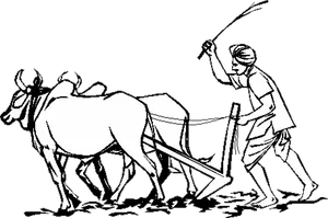 Traditional Farming Plowing Illustration PNG Image