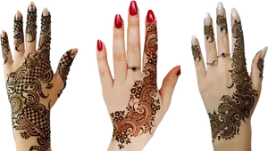 Traditional Mehndi Designson Hands PNG Image