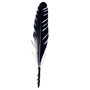 Traditional Writing Quill Png 32 PNG Image