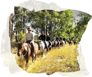 Trail Ride Procession Equestrian Adventure.jpg PNG Image